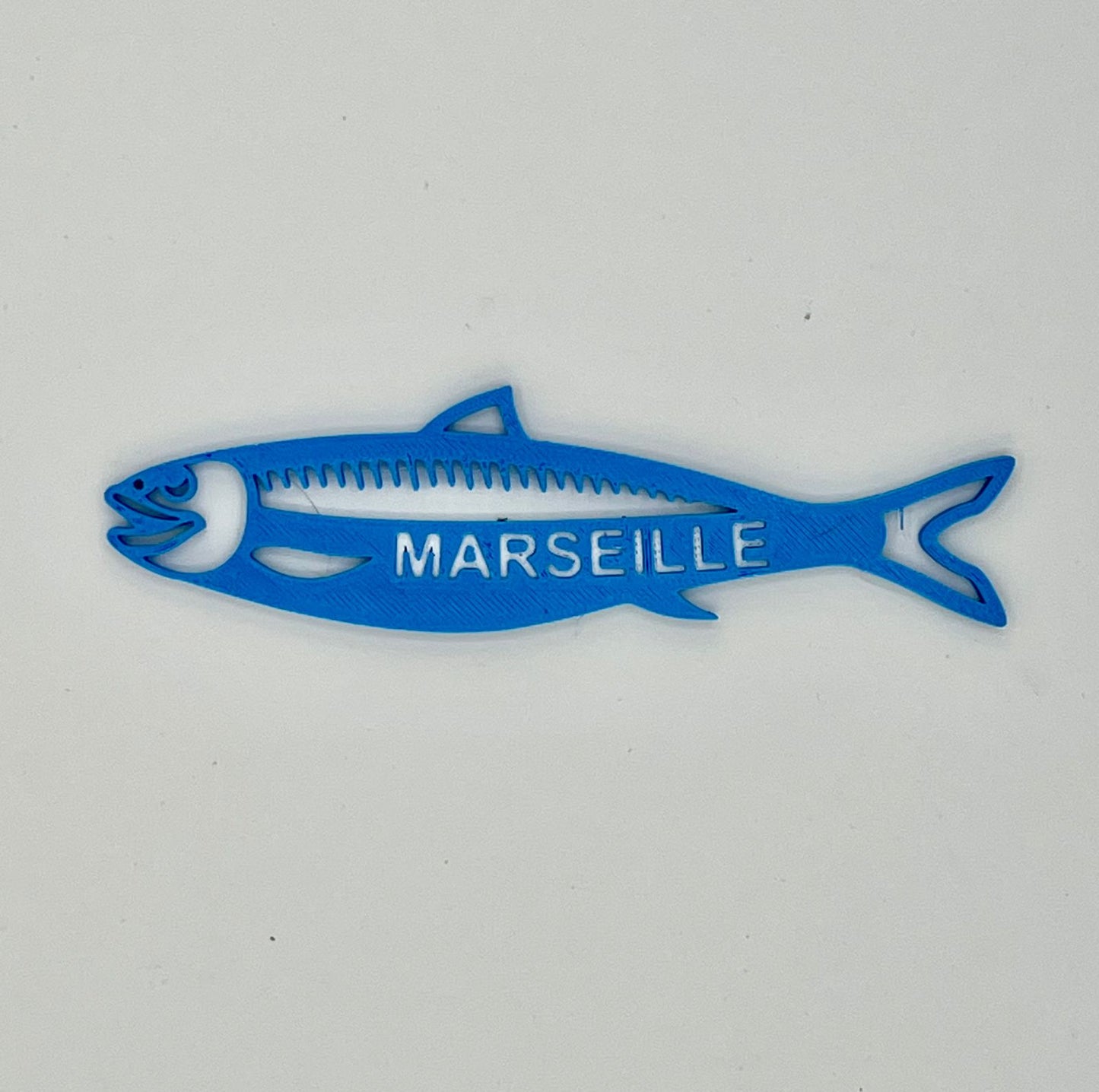 Magnet Sardine