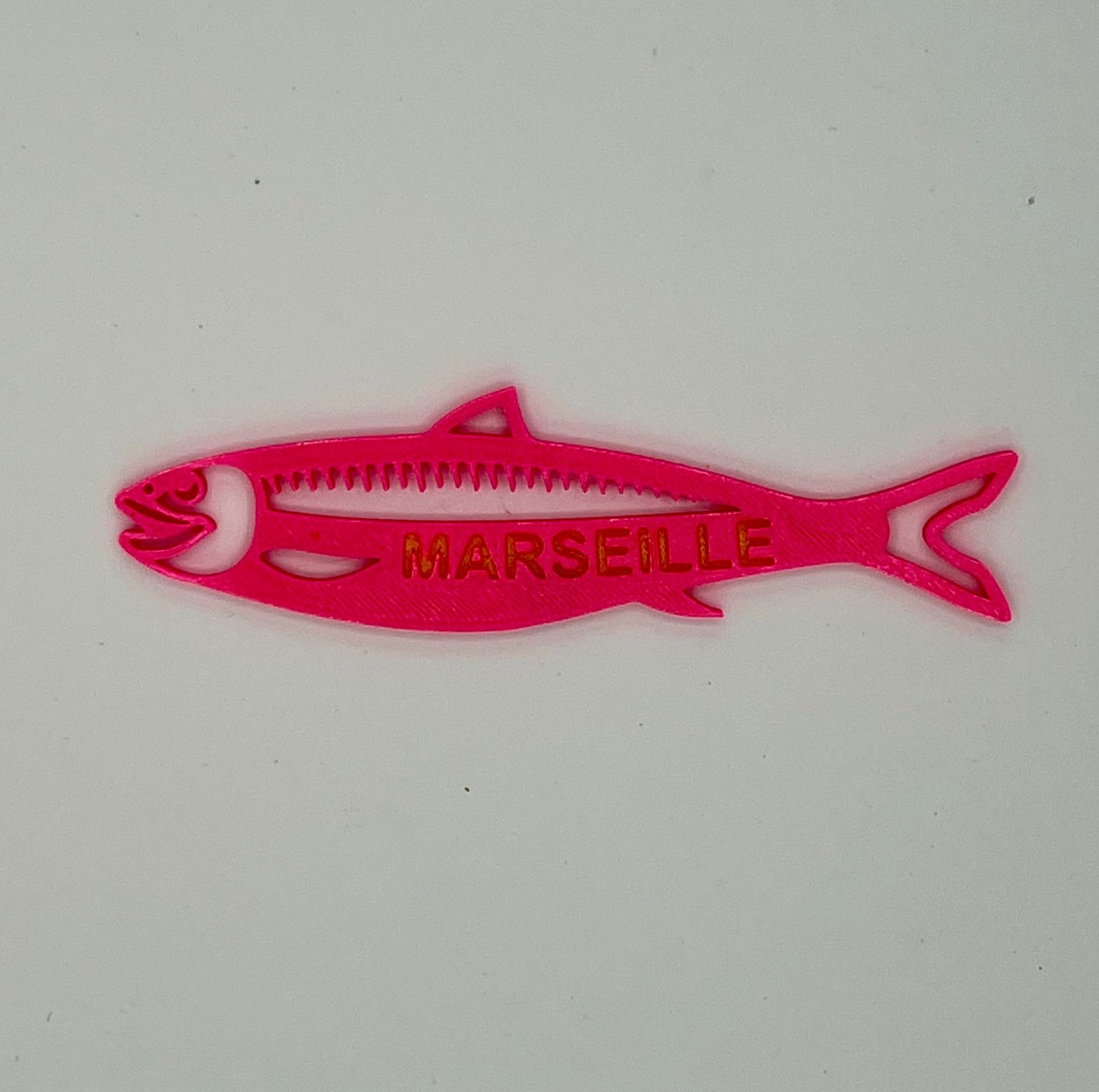 Magnet Sardine