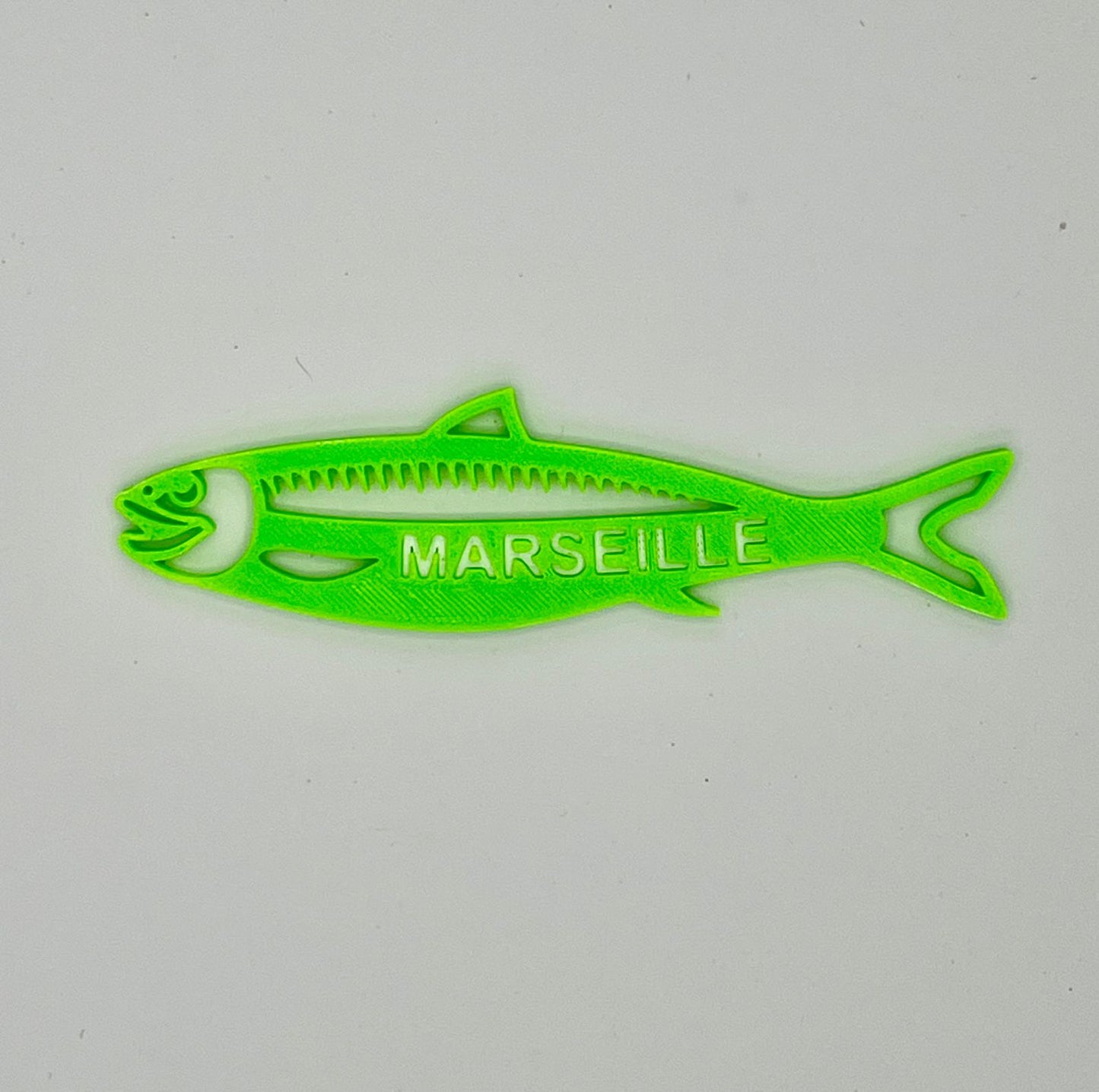 Magnet Sardine